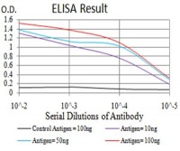 phospho-NLRC4(Ser-533) Primary Antibody MP30944 [M9A6A1]