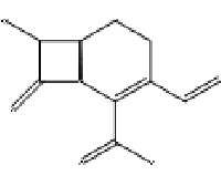 MC71399 7-Amino-3-vinyl-3-cephem-4-carboxylic Acid 79349-82-9 7-氨基-3-乙烯基-8-氧代-5-硫杂-1-氮杂双环[4.2.0]辛-2-烯-2-羧酸