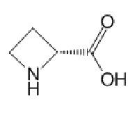 MC76314 D-Azetidine-2-carboxylic Acid 7729-30-8 D-氮杂环丁烷-2-羧酸