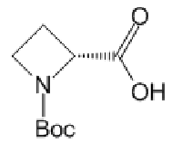 MC97027 1,2-Azetidinedicarboxylic Acid 1-(1,1-Dimethylethyl) Ester 228857-58-7 1,2-Azetidinedicarboxylic Acid 1-(1,1-Dimethylethyl) Ester