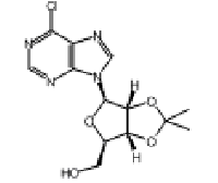 MC99720 6-Chloropurine-9-(2,3-isopropylidene-β-D-ribofuranoside) 39824-26-5 6-氯-(2,3-O-异亚丙基)嘌呤核苷
