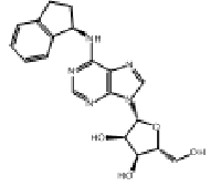 MC87576 (R)-N-(2,3-Dihydro-1H-indenyl)adenosine 96392-15-3 （R）-N-（2,3-二氢-1H-茚基）腺苷