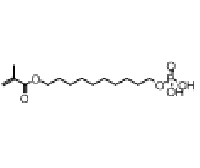 MC77181 12-Methacryloyldocecylphosphate 85590-00-7 12-Methacryloyldocecylphosphate