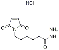 MC95368 MaleiMidocaproic acid hydrazide-HCl 175290-73-0 6-马来酰亚胺基酰肼盐酸盐