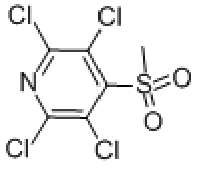 MC93036 Methyl 2,3,5,6-tetrachloro-4-pyridyl sulfone 13108-52-6 2,3,5,6-四氯-4-(甲磺酰)吡啶