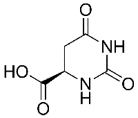 MC66756 D-Hydroorotic Acid 5988-53-4 D-氢化乳清酸