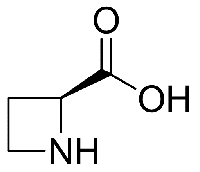 MC63292 (S)-(-)-2-Azetidinecarboxylic Acid 2133-34-8 (S)-(-)-2-羧基环丁胺