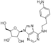 MC87127 N6-2-(4-AMINOPHENYL)ETHYL-ADENOSINE 89705-21-5 2 -(4-氨基苯基)乙基腺苷-5' -羧酸