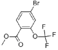 MC78819 Ethyl 4-bromo-2-(trifluoromethoxy)benzoate 933785-18-3 4-溴-2-(三氟甲氧基)苯甲酸乙酯