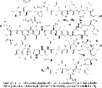 MC51333  人、鼠 促肾上腺皮质激素释放因子  [86784-80-7]