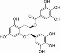 MC27863  表没食子儿茶素没食子酸酯  [989-51-5]