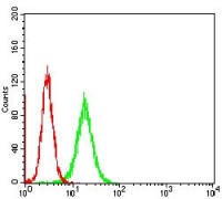 ATROGIN-1 Primary Antibody MP30722 [M5C11D1]