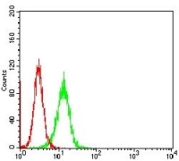 Stat5 Primary Antibody MP30723 [M7F7A4]