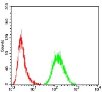 MDM2 Primary Antibody MP30749 [M5A10A9]