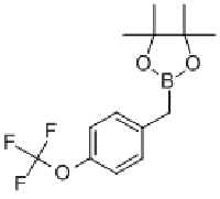 MC77511 4-(TRIFLUOROMETHOXY)BENZYLBORONIC ACID & 872038-32-9 4-(三氟甲氧基)苄基硼酸频那醇酯