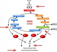 MC48912  M-ProClin300    