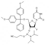 MC61752 2'-F-dUPhosphoramidite 146954-75-8 2'-F-dU亚磷酰胺单体
