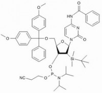 MC60697 Bz-rCPhosphoramidite 118380-84-0 Bz-rC亚磷酰胺单体