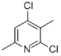 MC76867 2,4-DICHLORO-3,6-DIMETHYLPYRIDINE 83791-90-6 2,4-二氯-3,6-二甲基吡啶