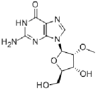 MC44546  2'-O-甲基鸟苷  [2140-71-8]