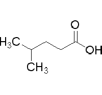 MC49482  4-甲基戊酸  [646-07-1]