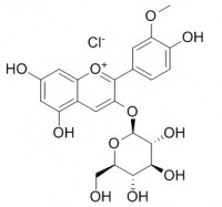 MCB50206  氯化芍药素-3-O-葡萄糖苷 [6906-39-4]