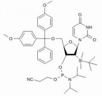 MC60696 rUPhosphoramidite 118362-03-1 5'-O-(4,4-二甲氧基三苯甲基)-2'-O-[(叔丁基)二甲基硅基]尿苷-3'-(2-氰基乙基-N,N-二异丙基)亚磷酰胺