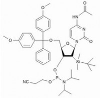MC60809 Ac-rCPhosphoramidite 121058-88-6 N-乙酰基-5'-O-(4,4-二甲氧基三苯甲基)-2'-O-[(叔丁基)二甲基硅基]胞苷-3'-(2-氰基乙基-N,N-二异丙基)亚磷酰胺