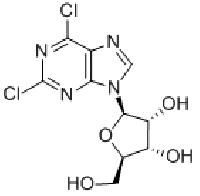 MC93172 2,6-Dichloropurine riboside 13276-52-3 2,6-二氯嘌呤核苷