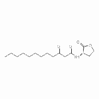 MC43478  N-(3-Oxododecanoyl)-L-homoserine lactone  [168982-69-2]