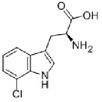 MC75943 7-CHLORO-L-TRYPTOPHAN 73945-46-7 7-氯-L-色氨酸