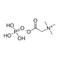 MC66663 Betaine phosphate 58823-88-4 磷酸甜菜碱
