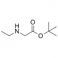 MC95217 tert-Butyl 2-(ethylamino)acetate 172317-17-8 tert-Butyl 2-(ethylamino)acetate