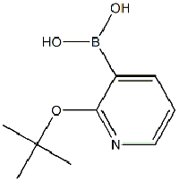 MC92527 (2-(tert-butoxy)pyridin-3-yl)boronic acid 1245898-82-1 (2-(叔丁氧基)吡啶-3-基)硼酸