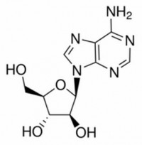 MC18122  阿糖腺苷  [5536-17-4]