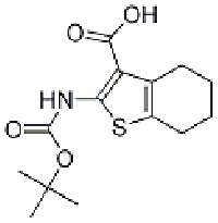 MC92461 2-tert-ButoxycarbonylaMino-4,5,6,7-tetrahydro-benzo[b]thiophene-3-carboxylic acid 1240361-06-1 2-(BOC-氨基)-4,5,6,7-四氢苯并噻吩-3-甲酸