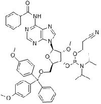 MC91102 2’-O-Methyl-rA(N-Bz)phosphoramidite 110782-31-5 N-苯甲酰基-5'-O-(4,4-二甲氧基三苯甲基)-2'-O-甲基腺苷-3'-(2-氰基乙基-N,N-二异丙基)亚磷酰胺
