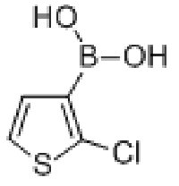 MC95449 2-Chlorothiophene-3-boronic acid 177734-82-6 2-氯噻吩-3-硼酸