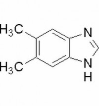 MC31040  5,6-二甲苯并咪唑  [582-60-5]