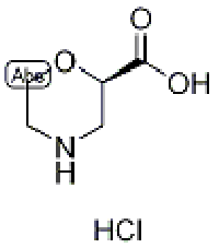 MC92835 (R)-2-Morpholinecarboxylic acid HCl 1273577-14-2 (R)-2-吗啉羧酸