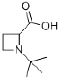 MC95586 1-TERT-BUTYL-2-AZETIDINECARBOXYLIC ACID 18085-38-6 1-TERT-BUTYL-AZETIDINE-2-CARBOXYLIC ACID