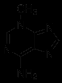 MC24823   3-甲基腺嘌呤  [5142-23-4]  