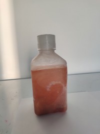 MF102  Fetal Bovine Serum, qualified 优级胎牛血清(无噬菌体低内毒素)