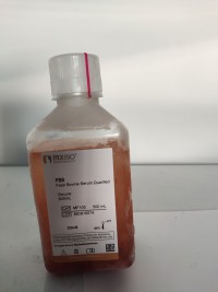 MF100 Fetal Bovine Serum 特级胎牛血清(无噬菌体低内毒素)