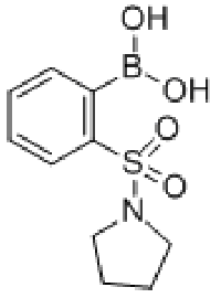MC78454 2-(PYRROLIDIN-1-YLSULPHONYL)BENZENEBORONIC ACID 97 913835-83-3 2-(吡咯啉基磺酰基)苯硼酸