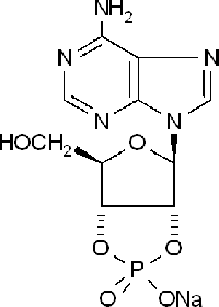 MC46534  腺苷2′:3′-循环磷酸钠盐  [37063-35-7]
