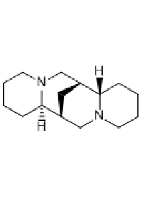 MC47548  (+)-鹰爪豆碱  [492-08-0]