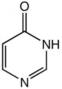 MC66058 4-Hydroxypyrimidine 51953-17-4 4(3H)-嘧啶酮