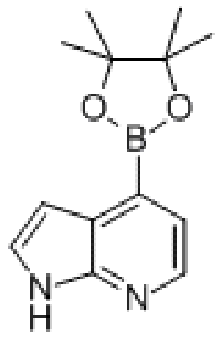 MC78973 1H-Pyrrolo[2,3-b]pyridine, 4-(4,4,5,5-tetramethyl-1,3,2-dioxaborolan-2-yl)- 942919-26-8 7-氮杂吲哚-4-硼酸酯