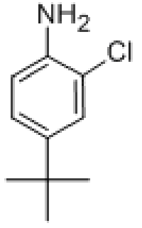 MC72094 4-(TERT-BUTYL)-2-CHLOROANILINE 42265-67-8 4-叔丁基-2-氯苯胺